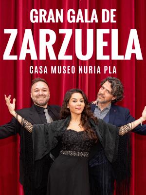 Epic Concerts: Gran Gala Zarzuela en Casa Museo Núria Pla