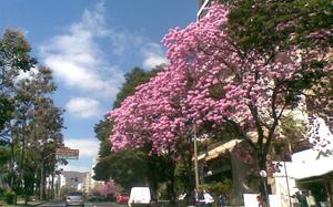 Belo Horizonte
