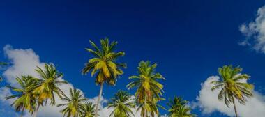 Hotel Decameron Marazul