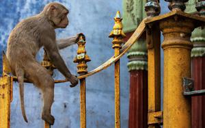 Templo en Varanasi
