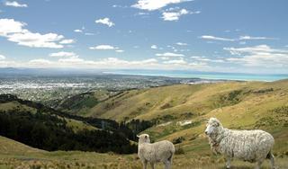 Christchurch