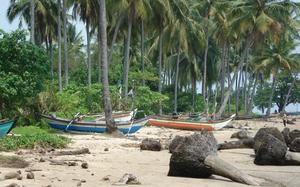 Playa palemra