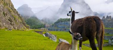 Categor�a Turista Superior - �Recomendada!