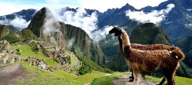 Categor�a Turista