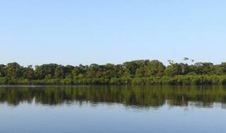 Amazonas