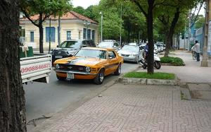 Mustang