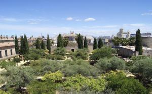 Patio �rboles