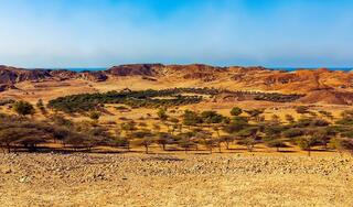 Sir Bani Yas