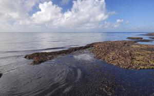 Playa de Mombasa 