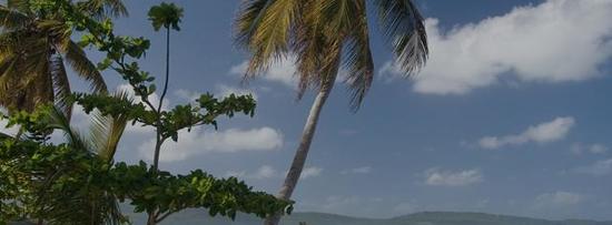 Hoteles en Punta Cana