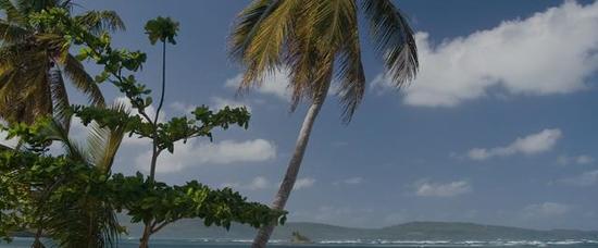 Hoteles en Punta Cana