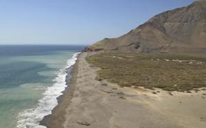 arica 4