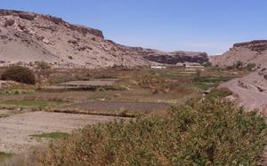 Calama