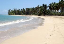 Las Terrenas