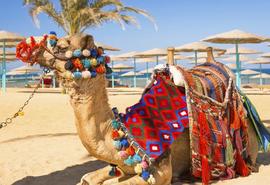 Hurghada