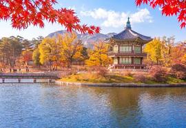 Suwon