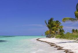 Cayo Guillermo