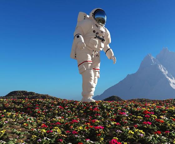 Foto destino