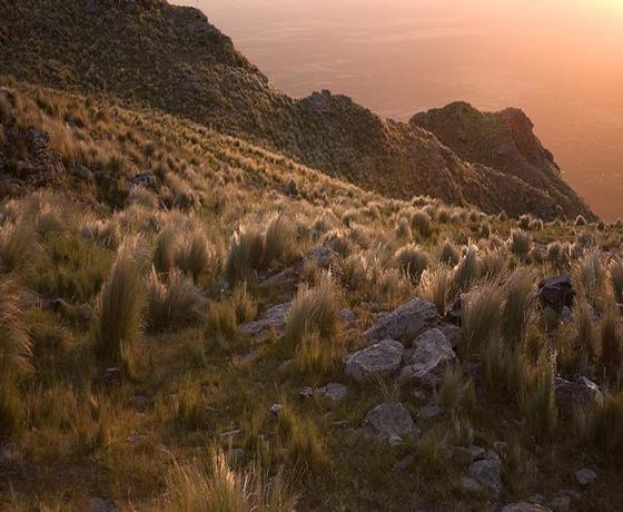 Foto destino