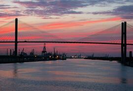 Savannah