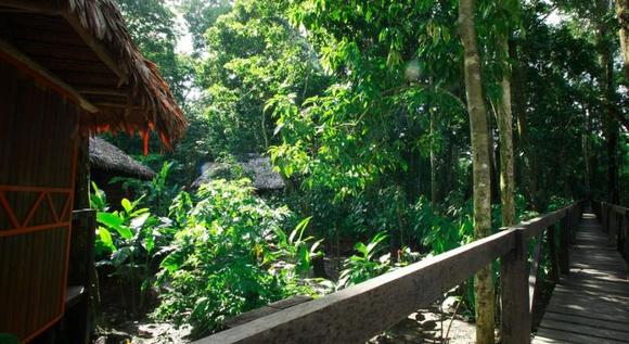 Leticia - Amazonas, Viajes con Vuelo + Hotel