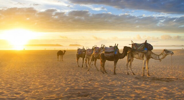 Marruecos al completo 8 D�AS DESDE MARRAKECH 3