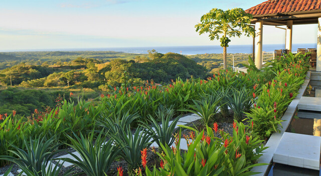 798674 Costa Rica m�gica 9 d�as, Conducci�n por cuenta propia 4