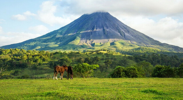 797835 Costa Rica completa 15 d�as 4