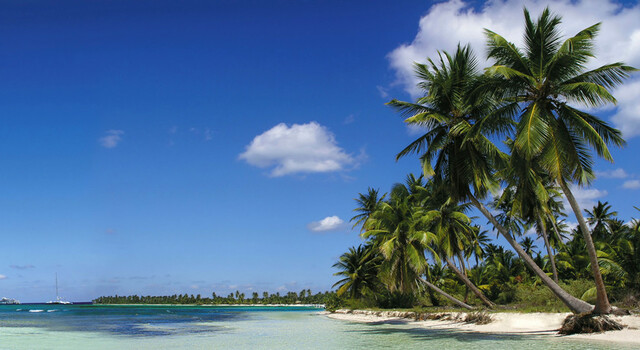Nueva York, Orlando y Rep�blica Dominicana a tu aire 3