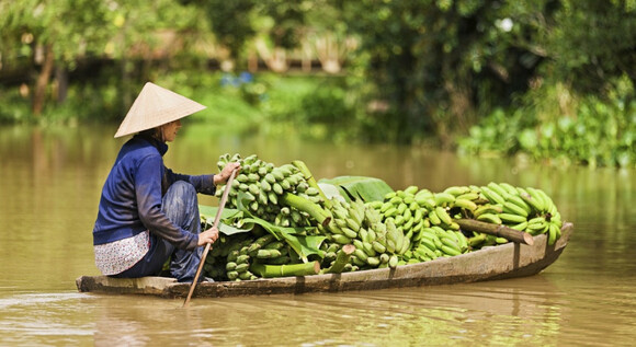 Vietnam clásico y templos de Angkor