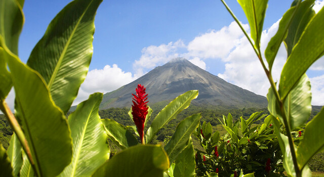 ANTICIPAT 453622 Costa Rica Tropical 5 D�as, Escapada Corta 5