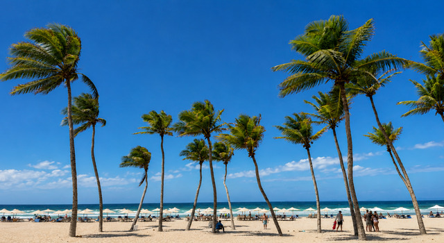 �CHARTER ISLA DE MARGARITA! 6 d�as 5 noches - V�a Wingo 22 Junio 2026 1