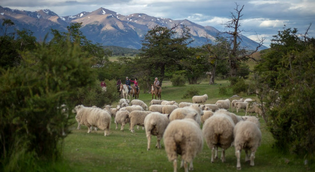 LO MEJOR DE LA PATAGONIA 3