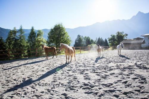 Apartamento Ferienwohnungen �tztal
