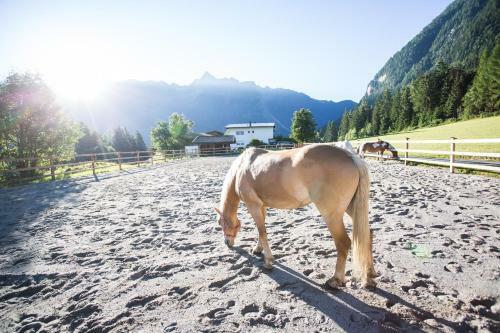 Apartamento Ferienwohnungen �tztal