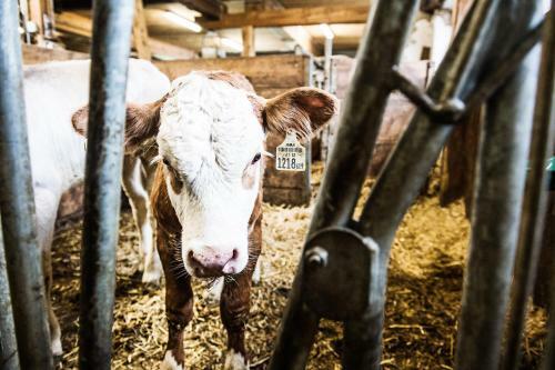 Apartamento S'landhaus