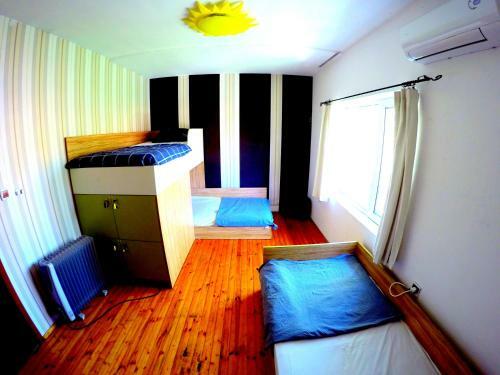 Funky Monkey Hostel