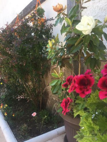 Hostal Guesthouse Versailles