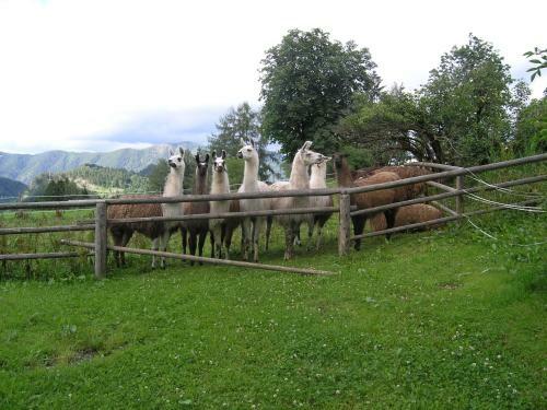 Agroturismo Berg-panorama-hof Sturmgut