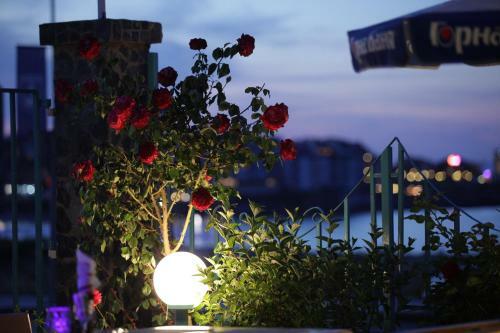 Hotel Lozite