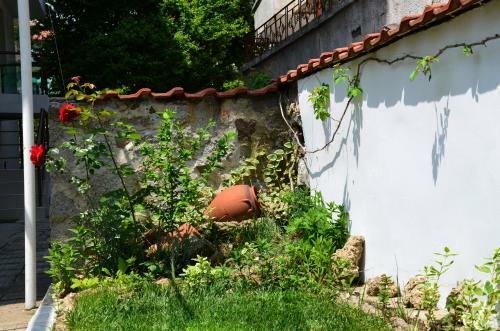 Hostal Kani Studios