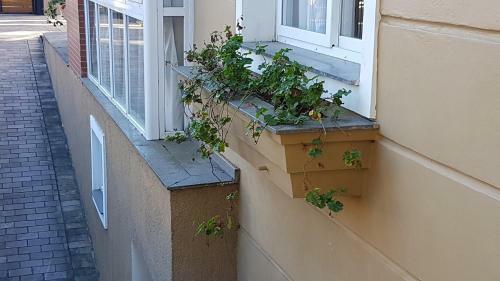 Apartamento Residencial Garibaldi