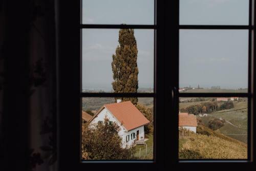 Apartamento Winzerhaus Am Gamlitzberg