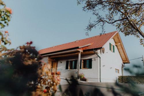 Apartamento Winzerhaus Am Gamlitzberg