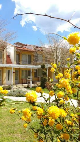 Zora Camping - Bungalows
