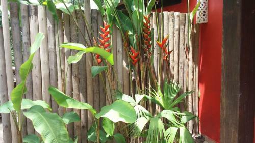 Resid�ncial Do Roberto Nogueira