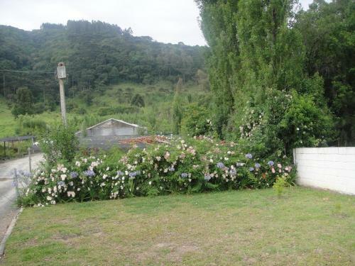 Laura's House