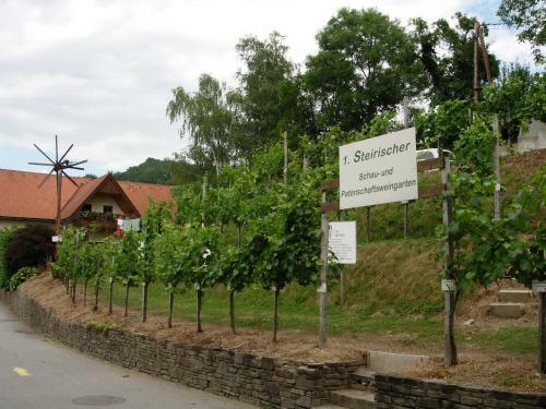 Agroturismo Weingut Schlafgut Genussgut Lorenz