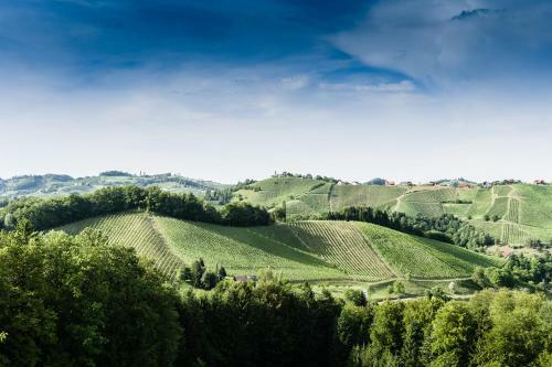 Apartamento Weingut- G�stezimmer Marko