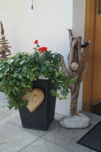 Apartamento Haus-michaela